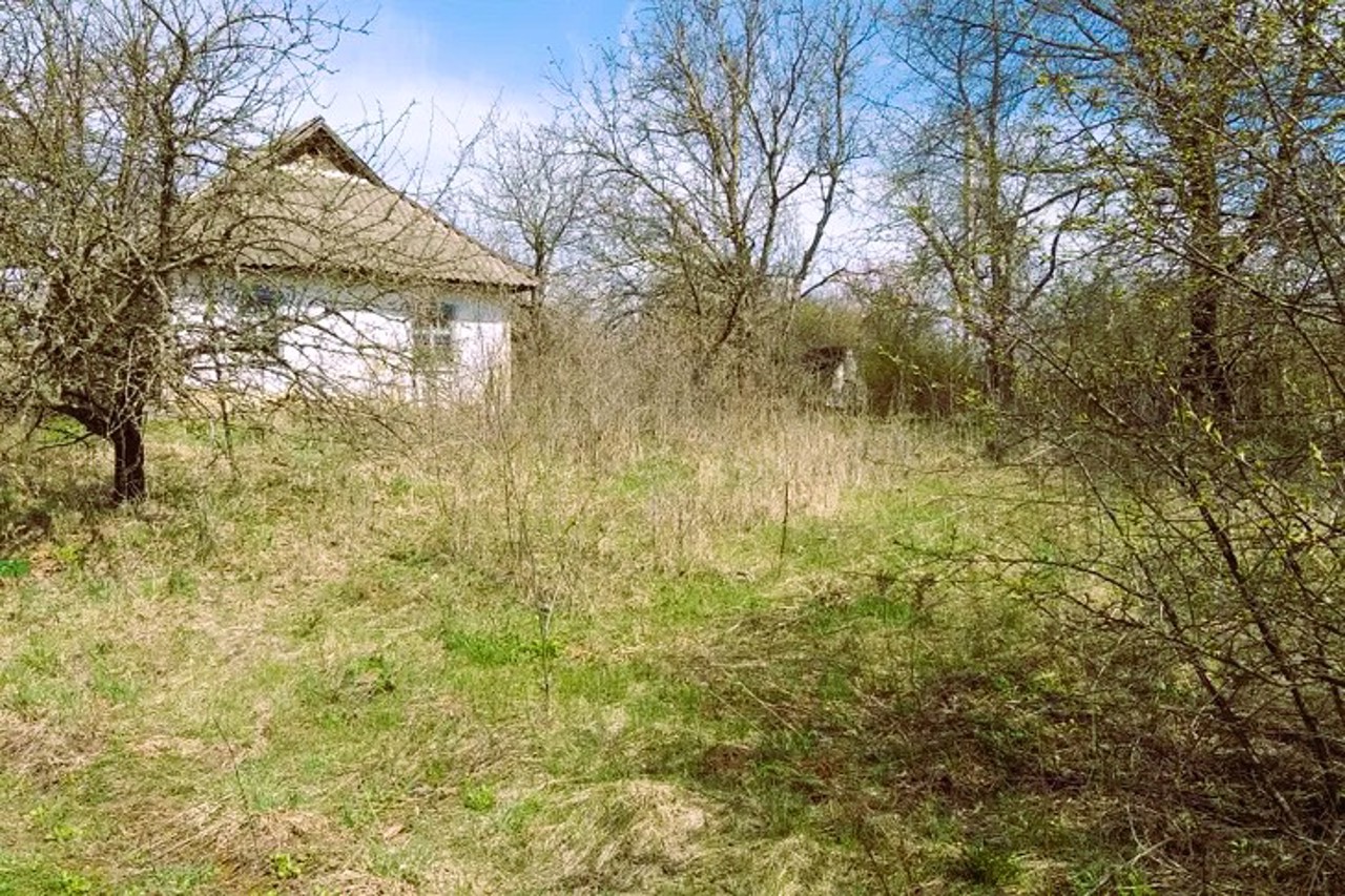 Село Півні