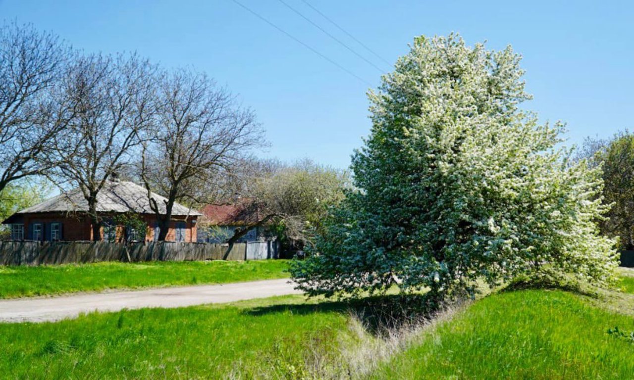 Kuzemyn village