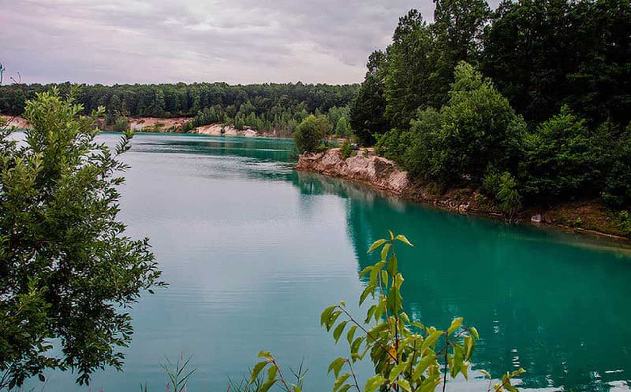 Село Черепашинці