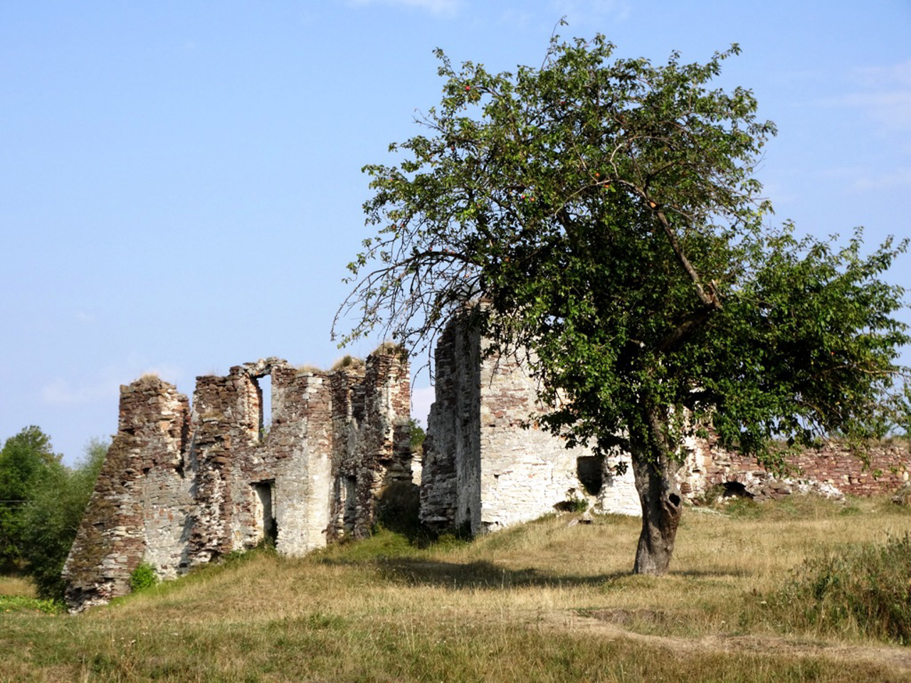 Село Підзамочок