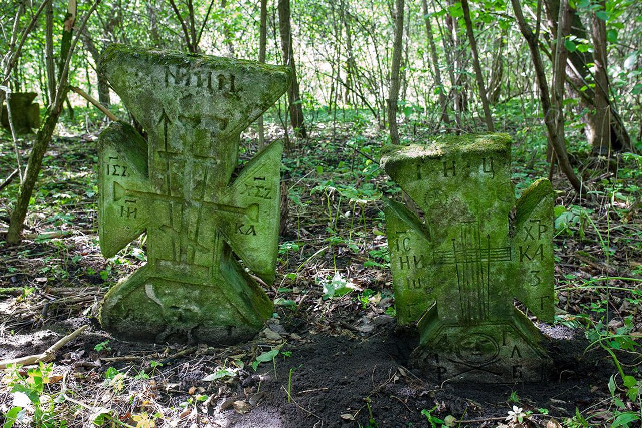 Село Лісоводи