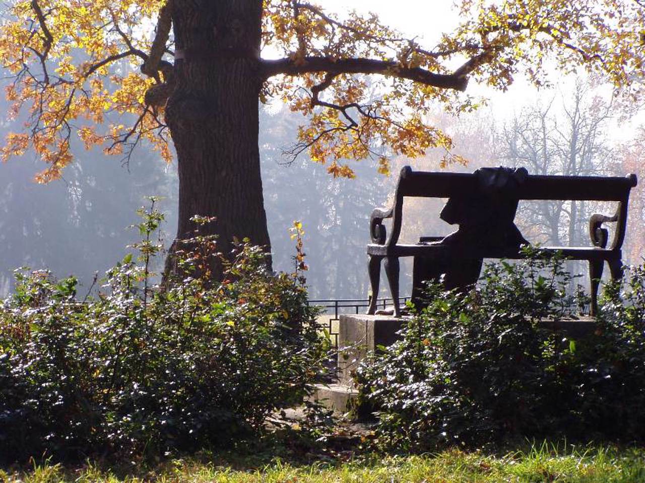 Oleksandriya Arboretum, Bila Tserkva