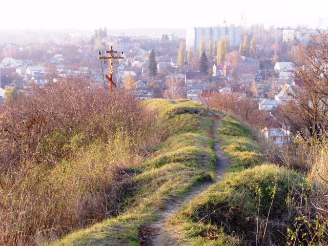 Ancient settlement Vasyliv, Vasylkiv