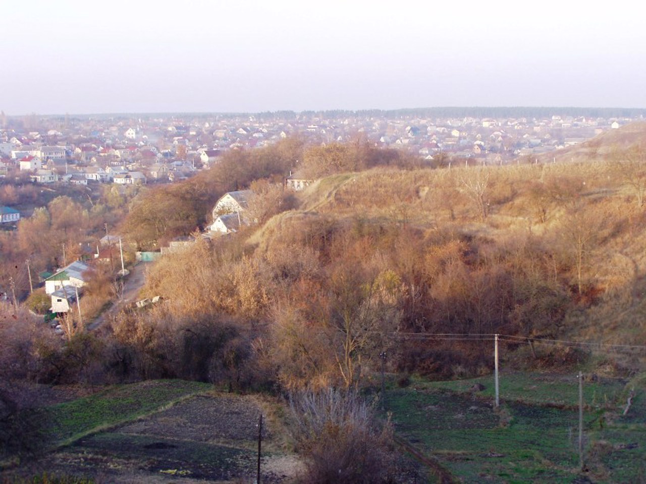Ancient settlement Vasyliv, Vasylkiv