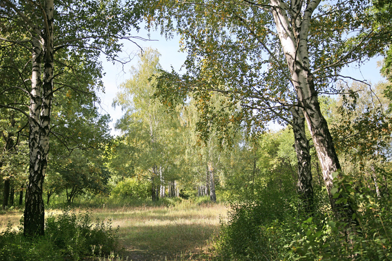 Velykoanadolsky Forest Museum, Hrafske