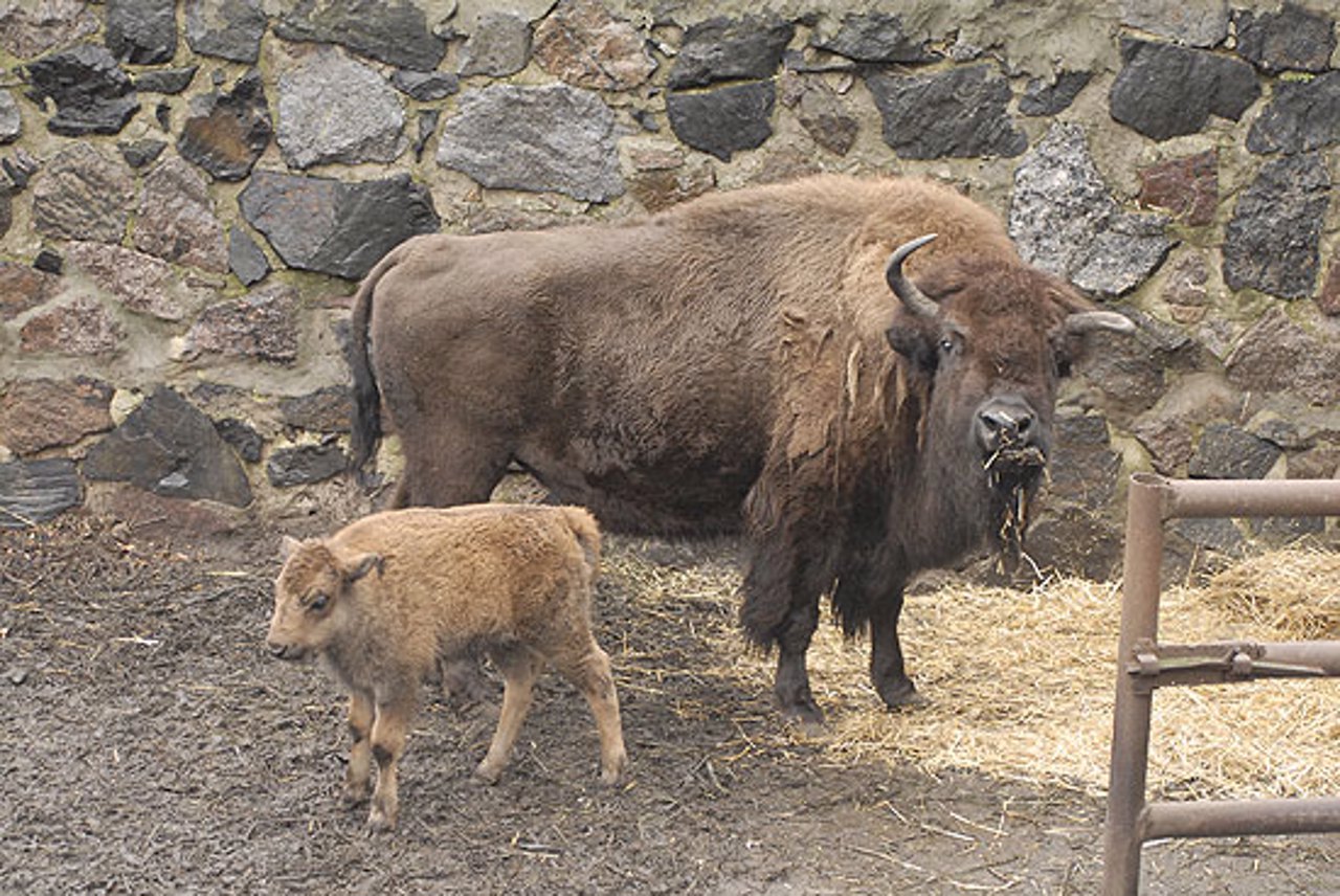 Cherkasy Zoo