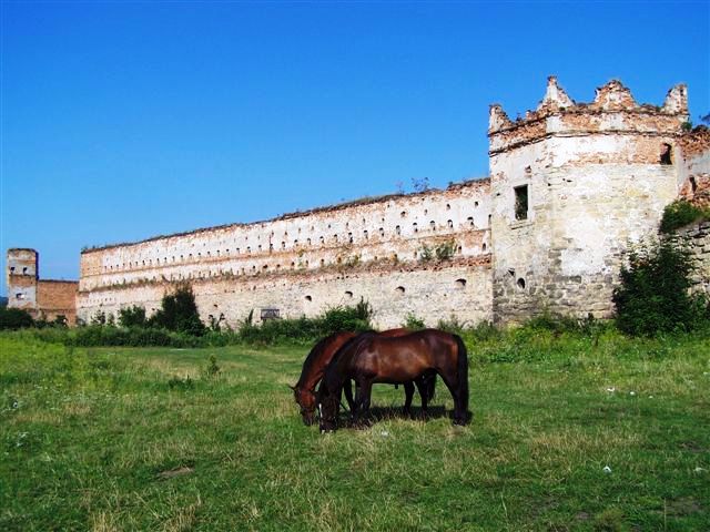 Старосільський замок, Старе Село