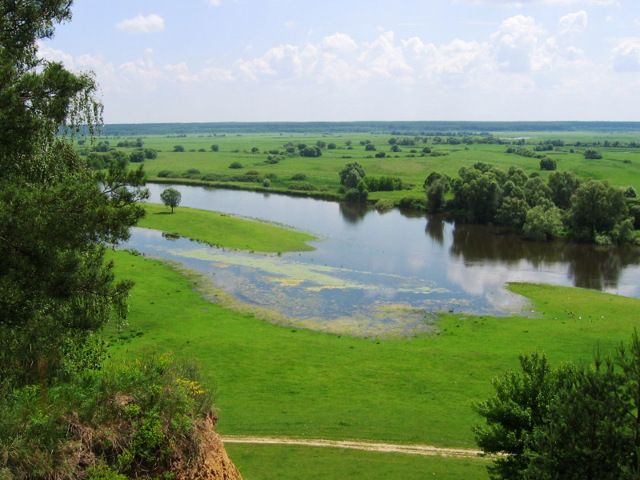 Мезинський парк, Деснянське