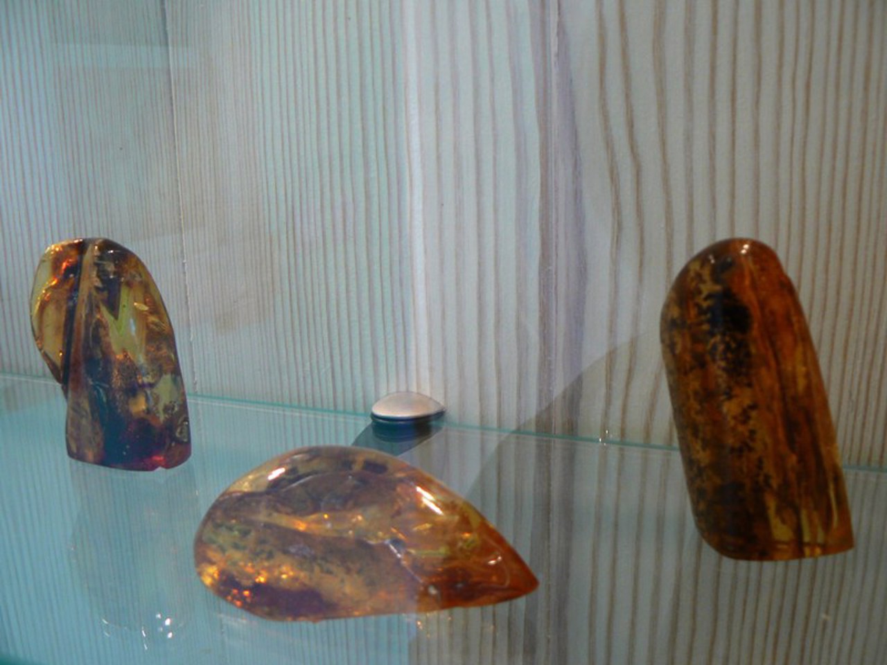 Amber Museum, Rivne