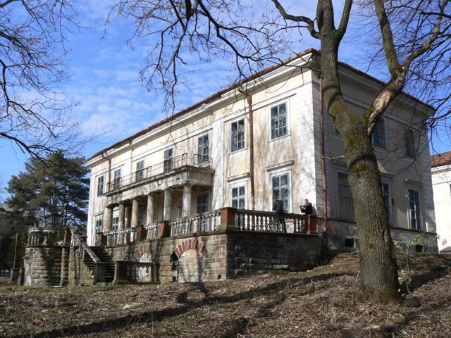 Golukhovsky Palace, Strusiv