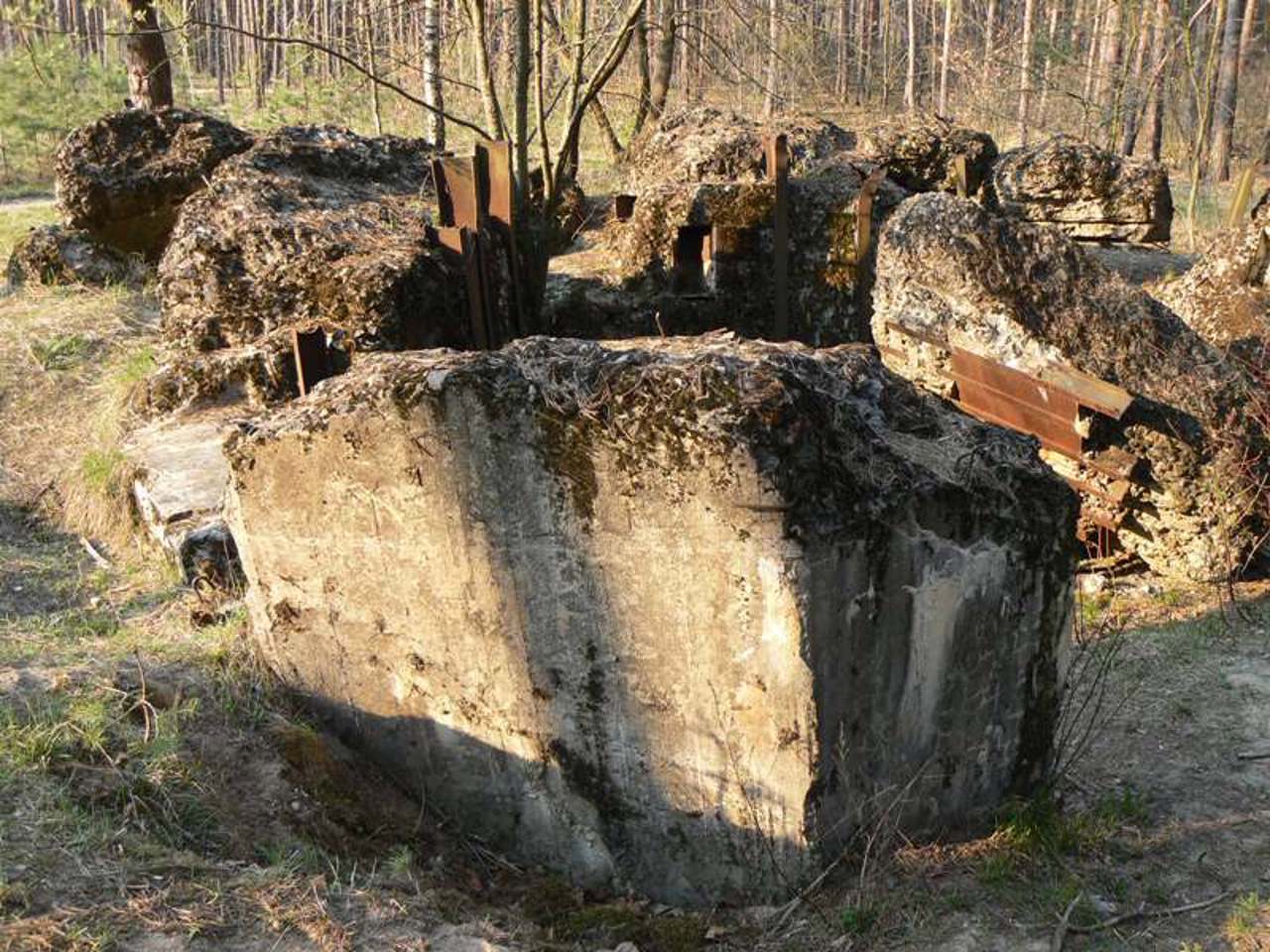 Pillbox 582, Liutizh