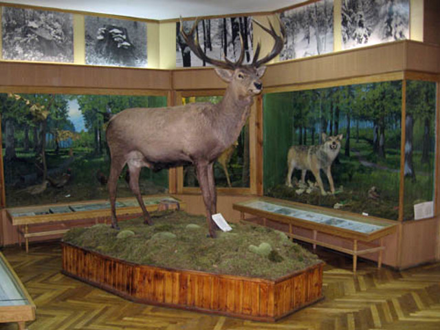 Музей флоры и фауны, Радомышль