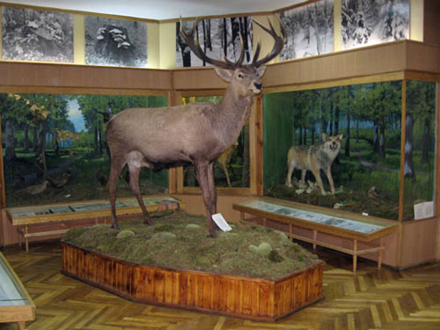 Radomyshl Museum of Flora and Fauna