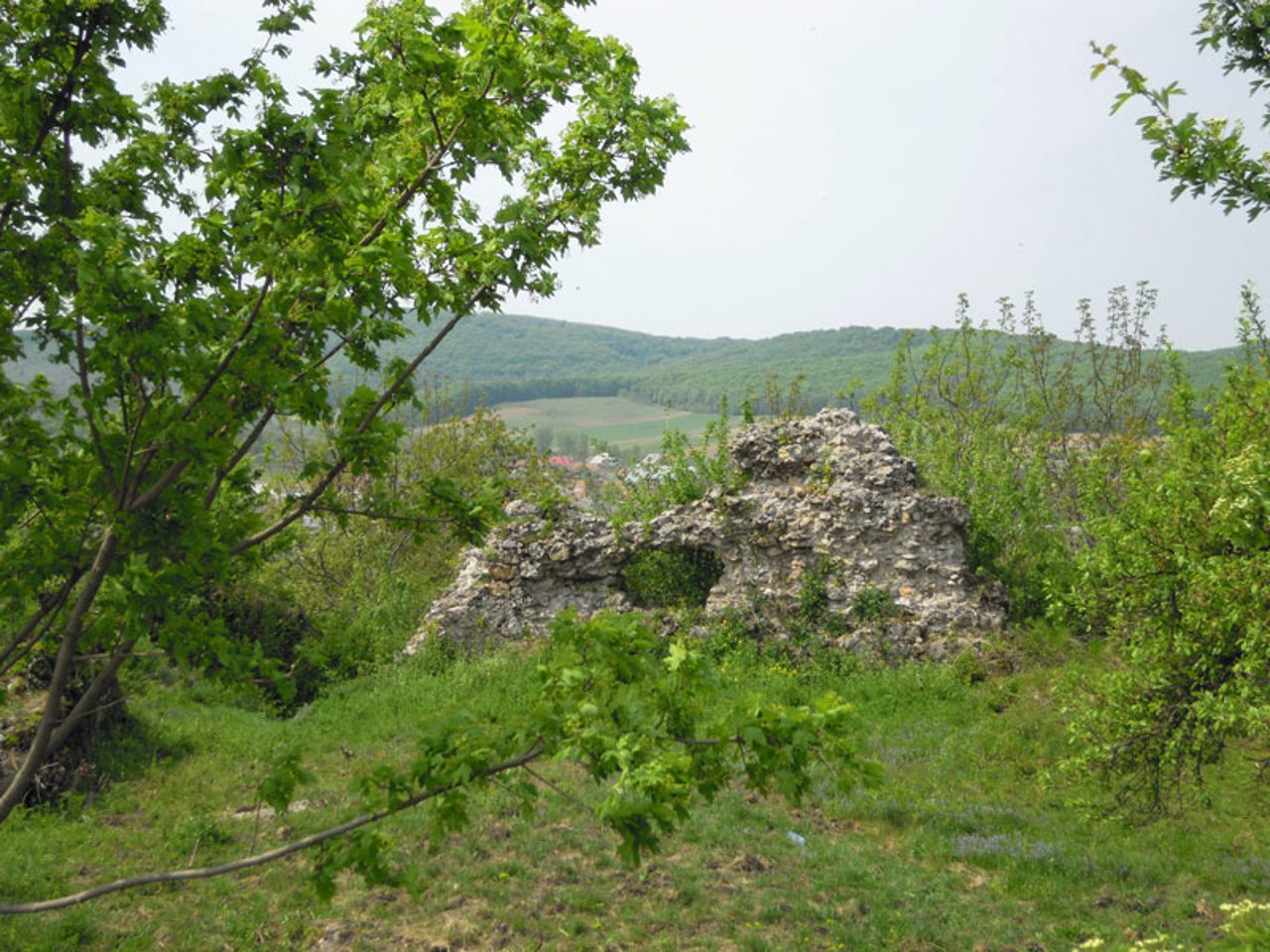 Minta Castle, Kvasovo