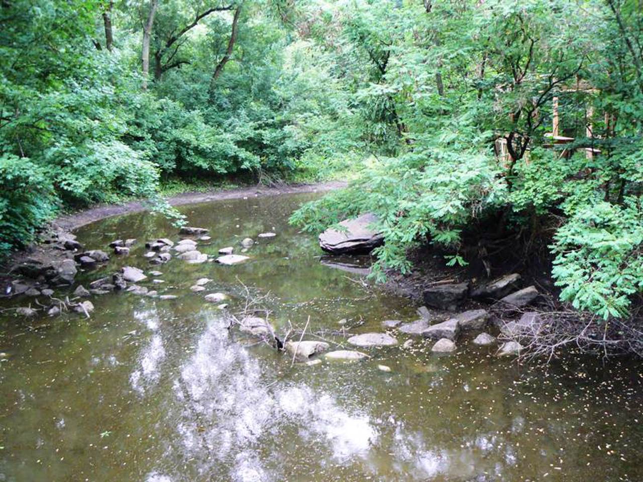 Trykratsky Forest, Trykraty