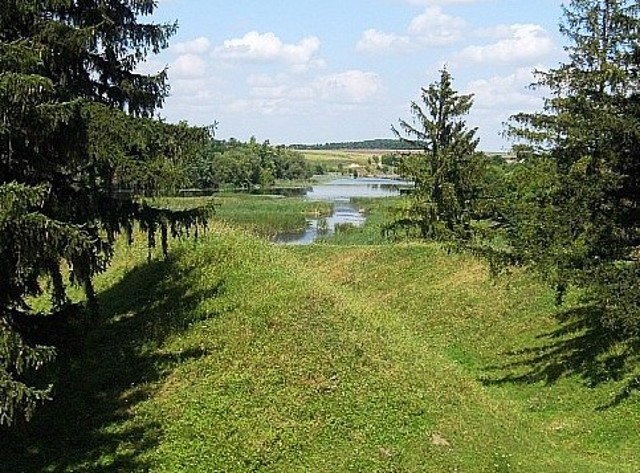 Губинское городище, Губин