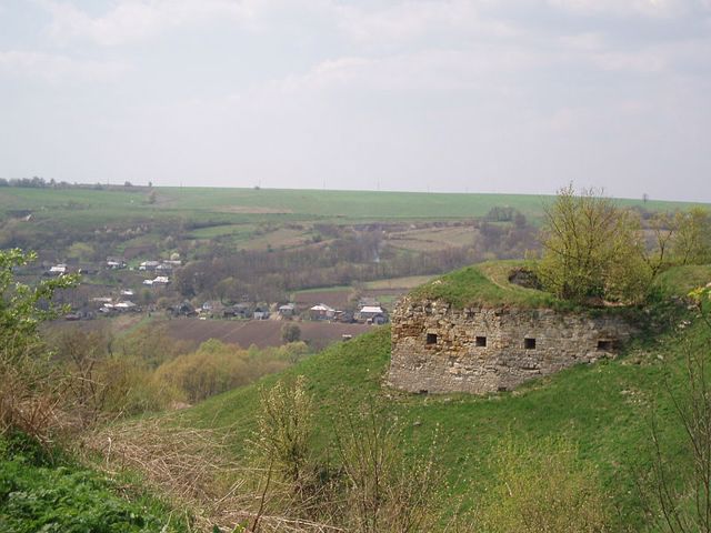 Zinkiv Castle