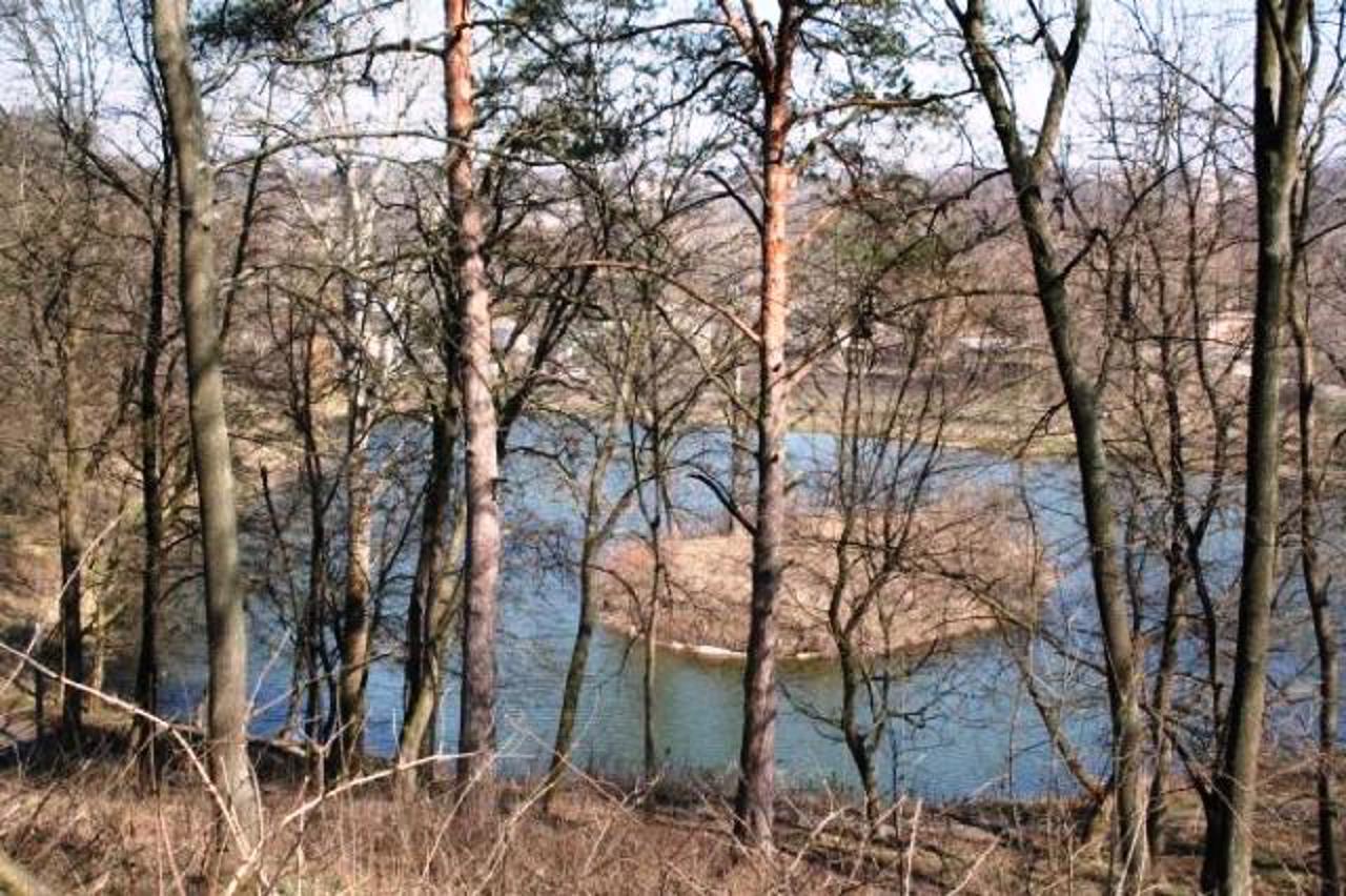 Troshchynskyi Park, Kaharlyk