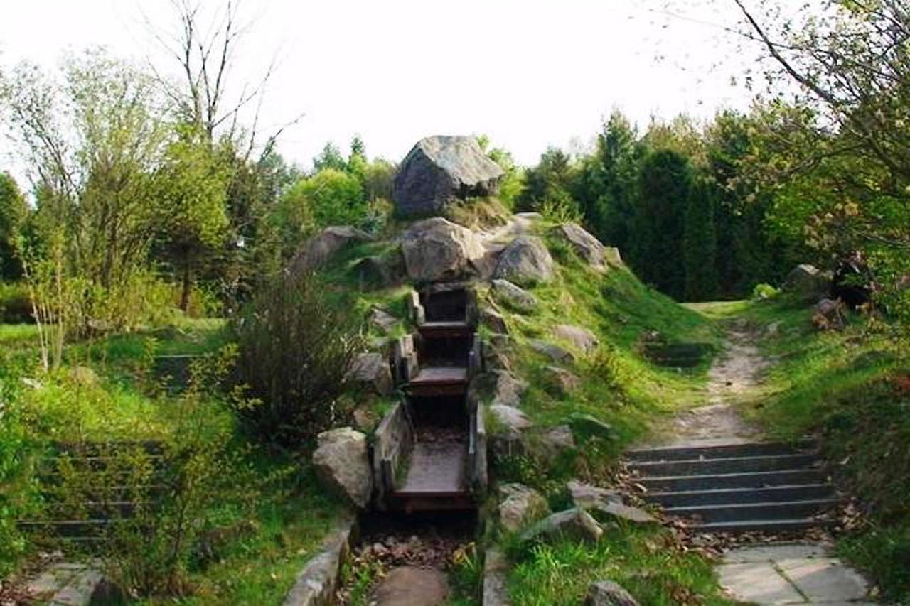 Bereznivsky Arboretum, Berezne