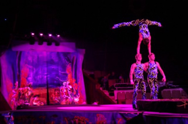 Національний цирк України, Київ