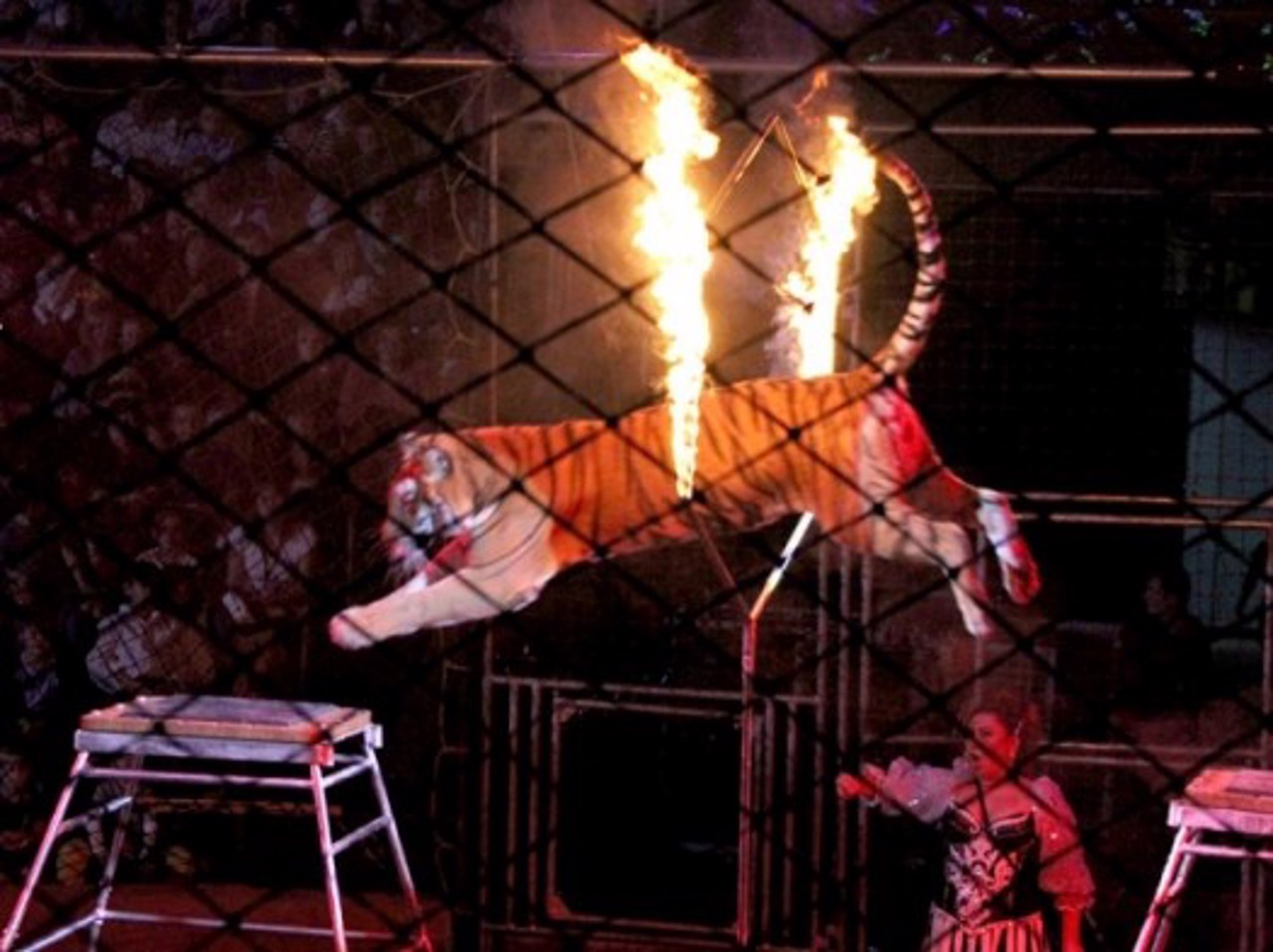Національний цирк України, Київ