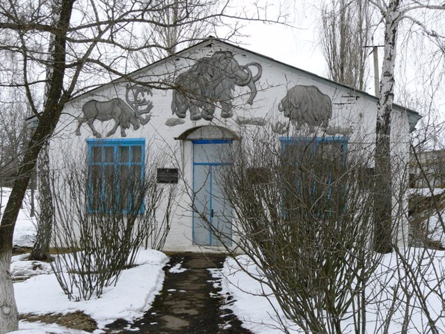 Museum "Dobranychivka settlement"