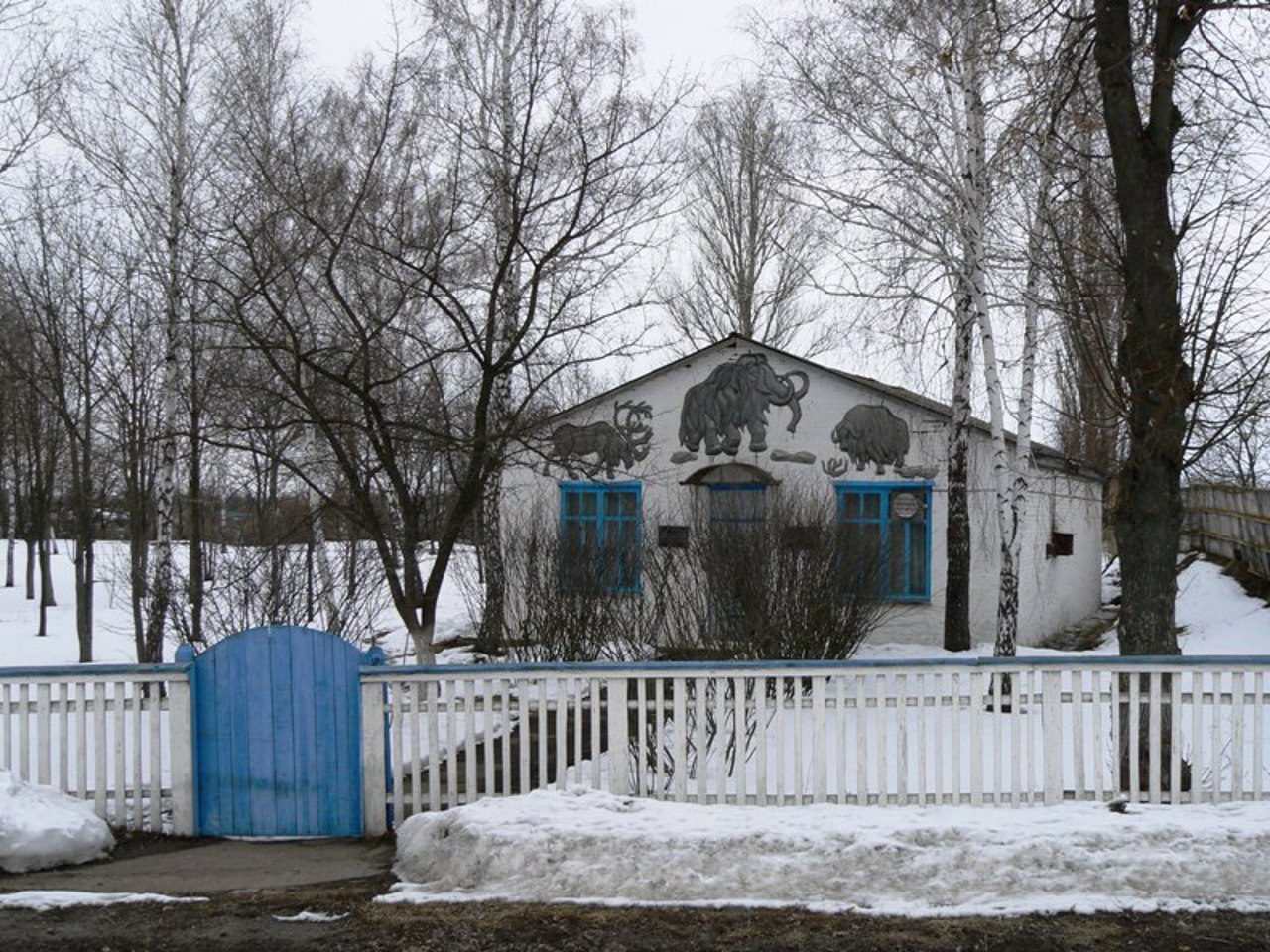 Museum "Dobranychivka settlement"