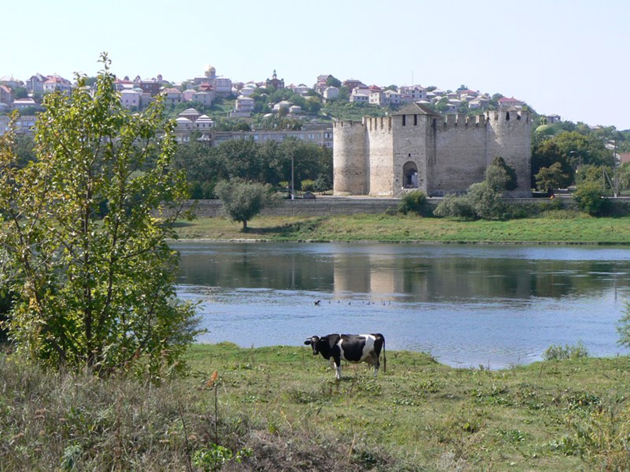 View of Soroky Fortress, Tsekynivka