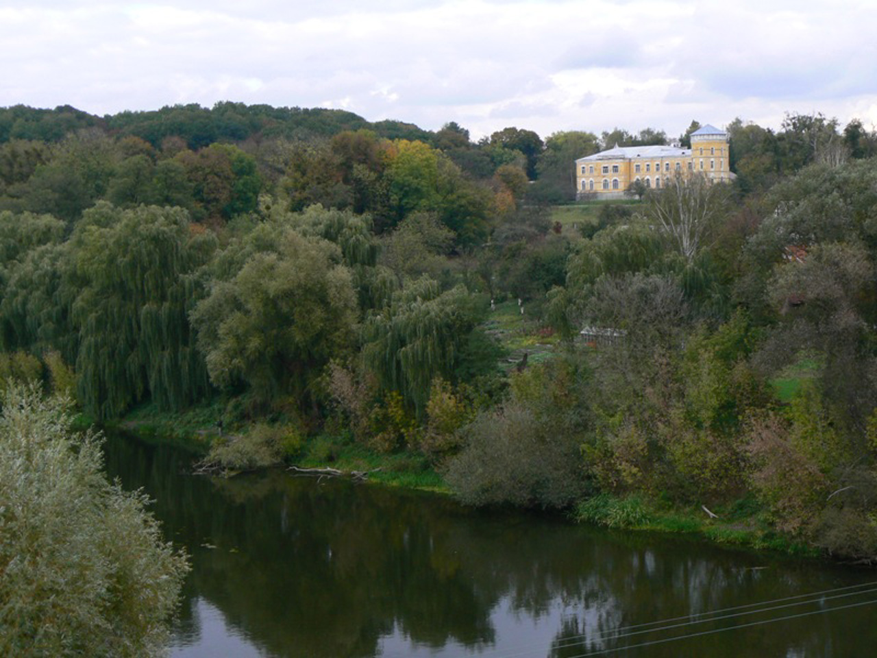 Дворец Мезенцева, Звягель