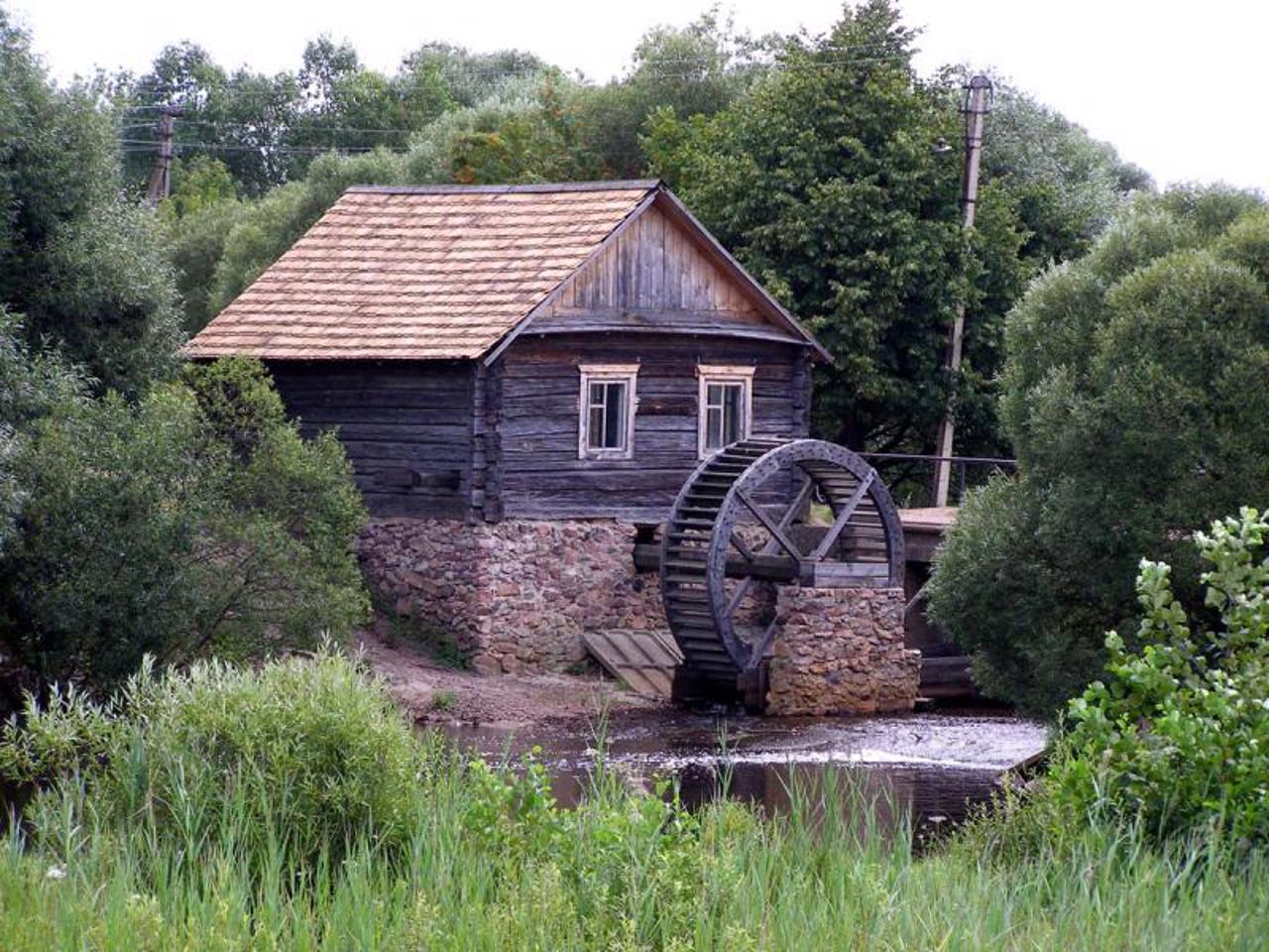 Поліський заповідник, Селезівка