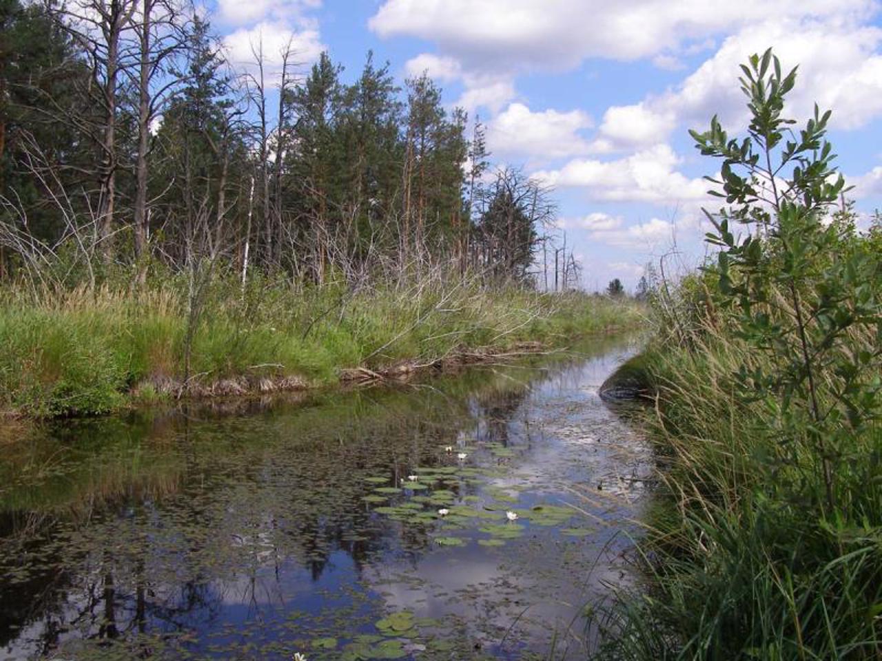 Поліський заповідник, Селезівка