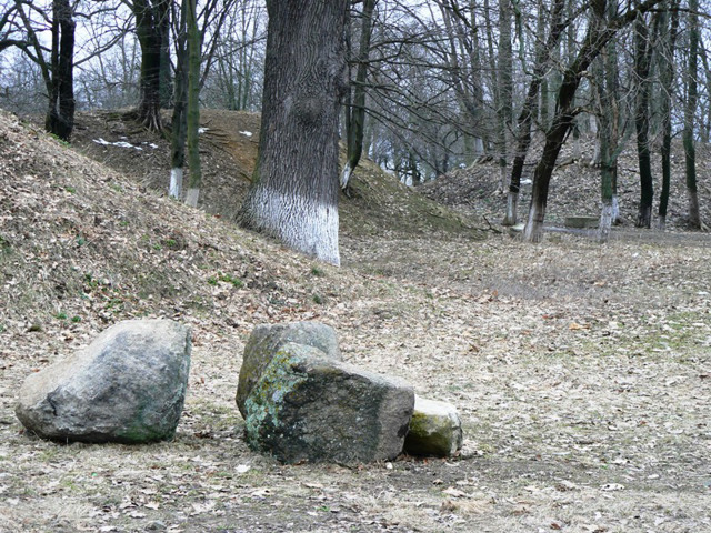 Парк "Горошківське замчище", Хорошів