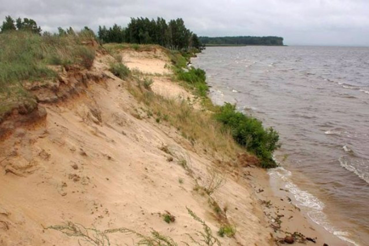 Канівський природний заповідник (Музей природи), Канів