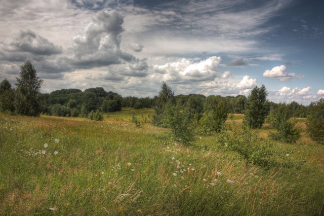 Канівський природний заповідник (Музей природи), Канів