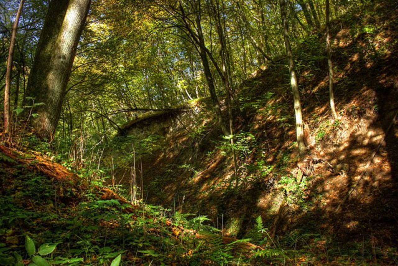 Kaniv Nature Reserve (Nature Museum), Kaniv