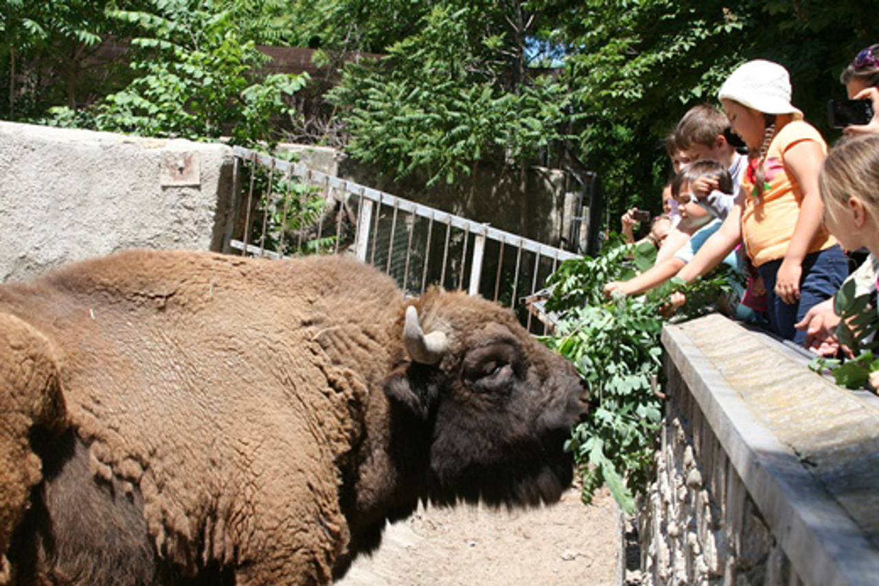 Odesa Zoo