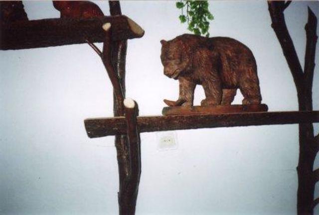 Brown Bear Museum, Maniava