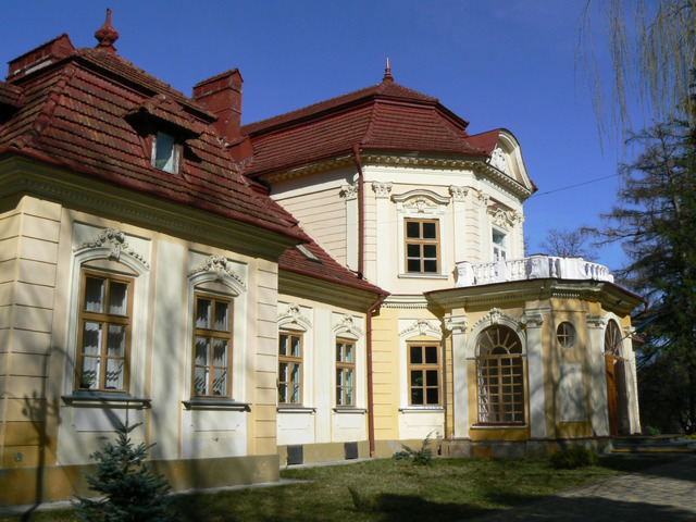 Палац Бруницьких, Великий Любінь