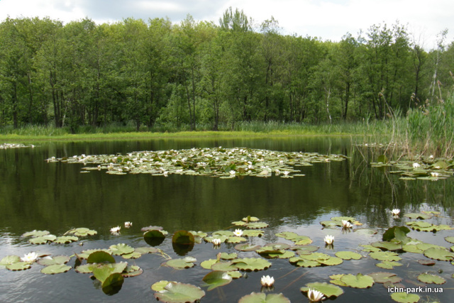 Ічнянський національний парк, Ічня