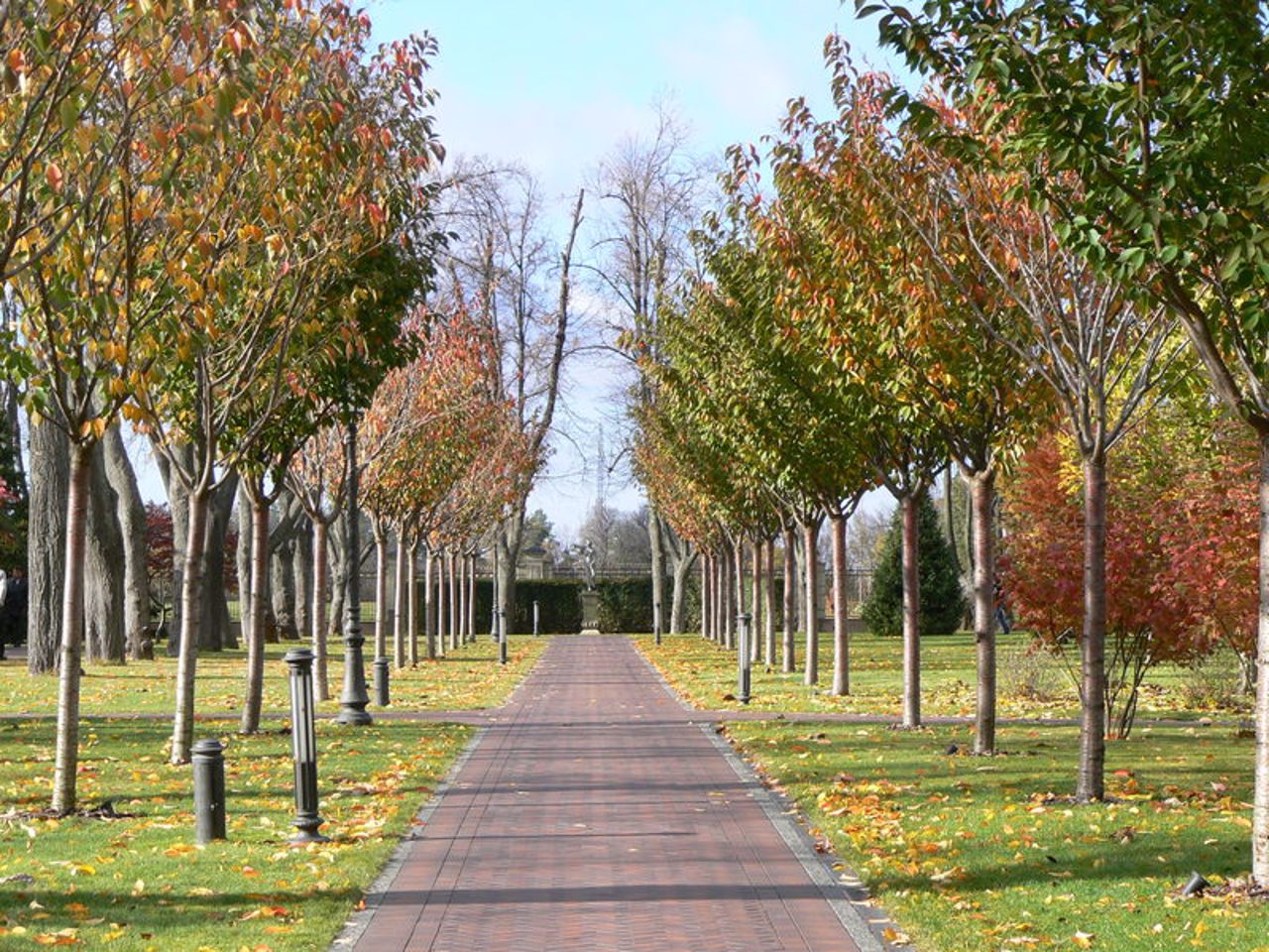 Park "Mezhyhirya", Novi Petrivtsi