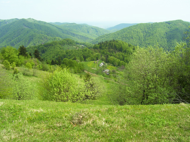 National Nature Park "Vyzhnytsky", Berehomet