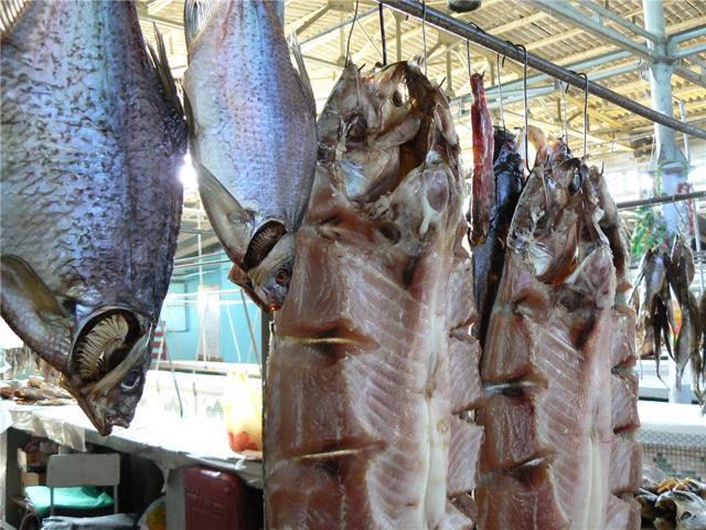 Fish Market, Chornobaivka