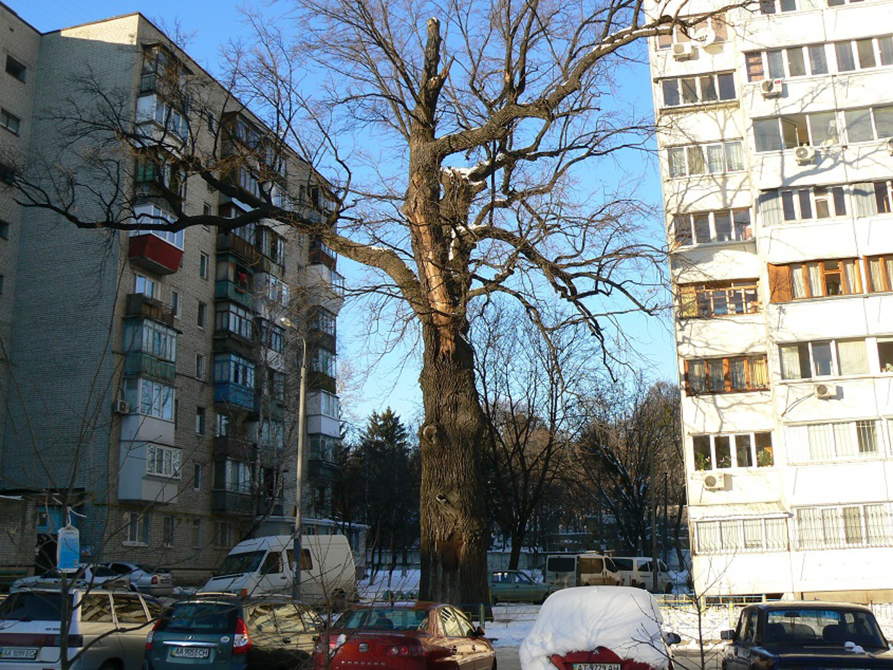 Кристерова горка, Киев