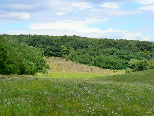 Атаманский парк, Головковка