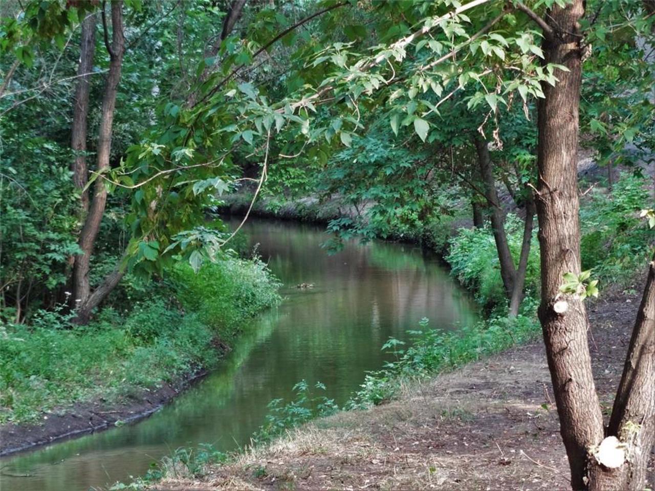 Park "Pochayna", Kyiv