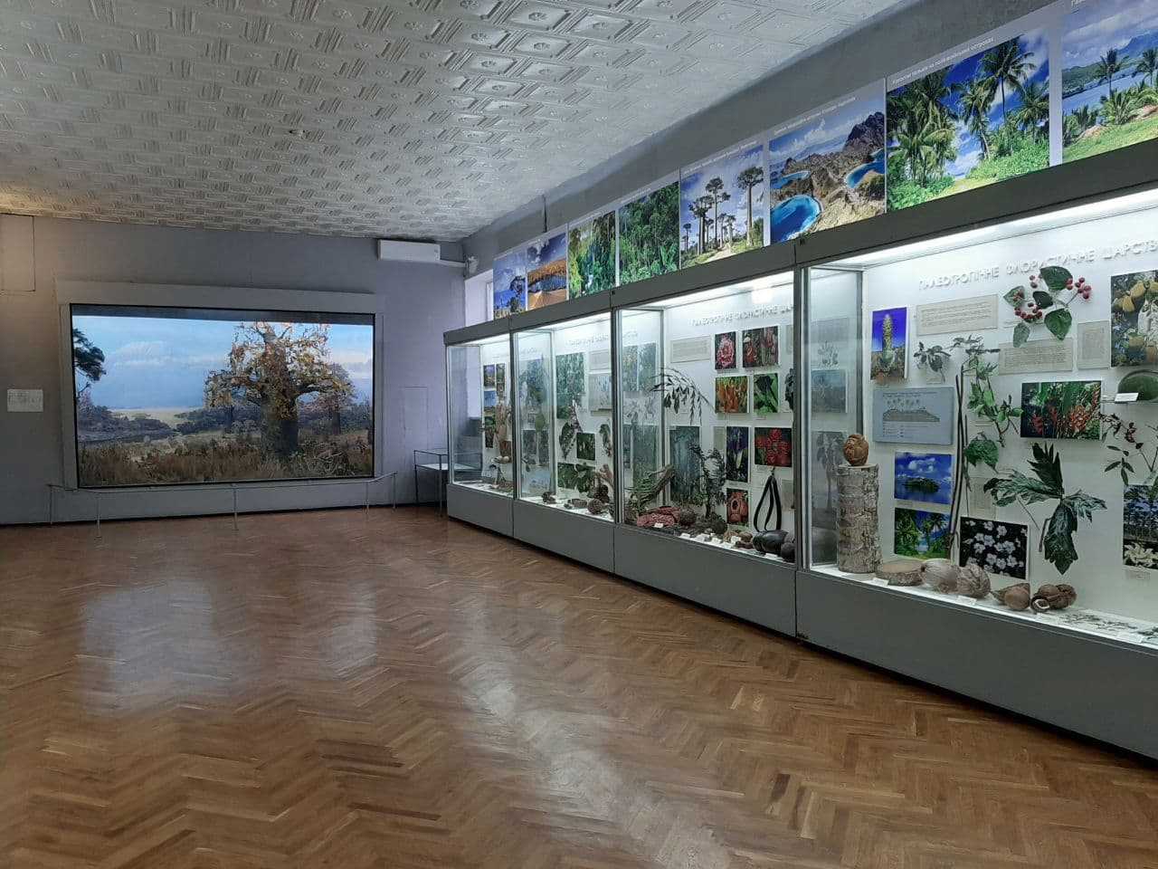 Природничий музей, Київ
