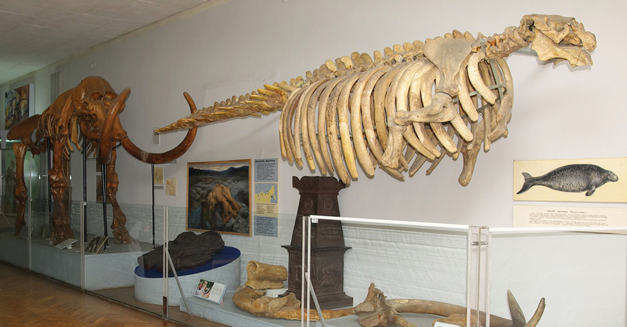 Natural History National Museum, Kyiv