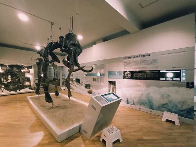 Museum of Natural History, Lviv