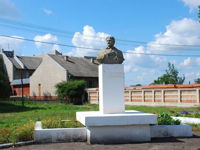 Oleksandr Myshuha Museum, Novyi Vytkiv