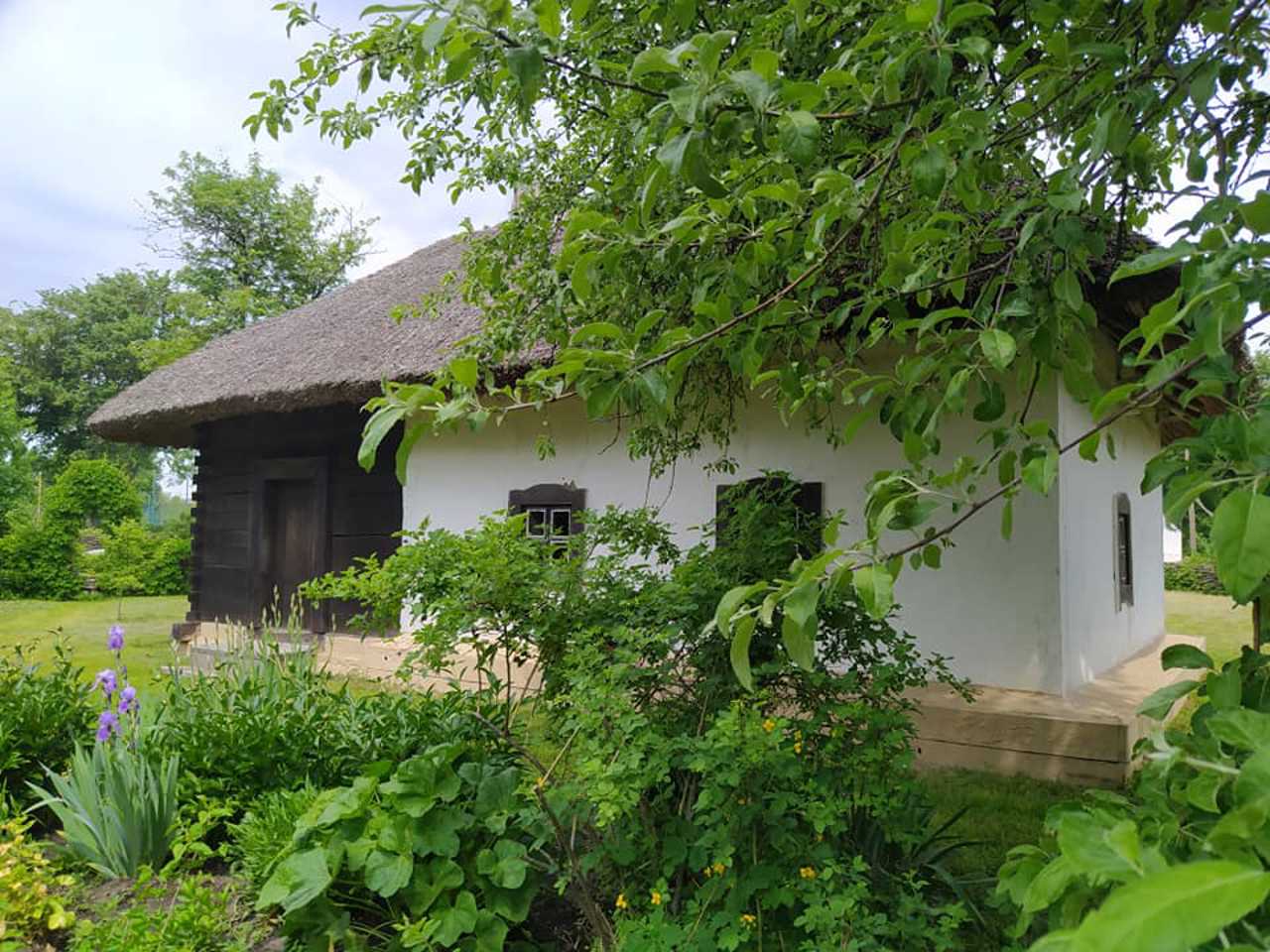 Skovoroda Museum, Chornukhy